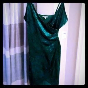 NWT Emerald Green Velvet Dress